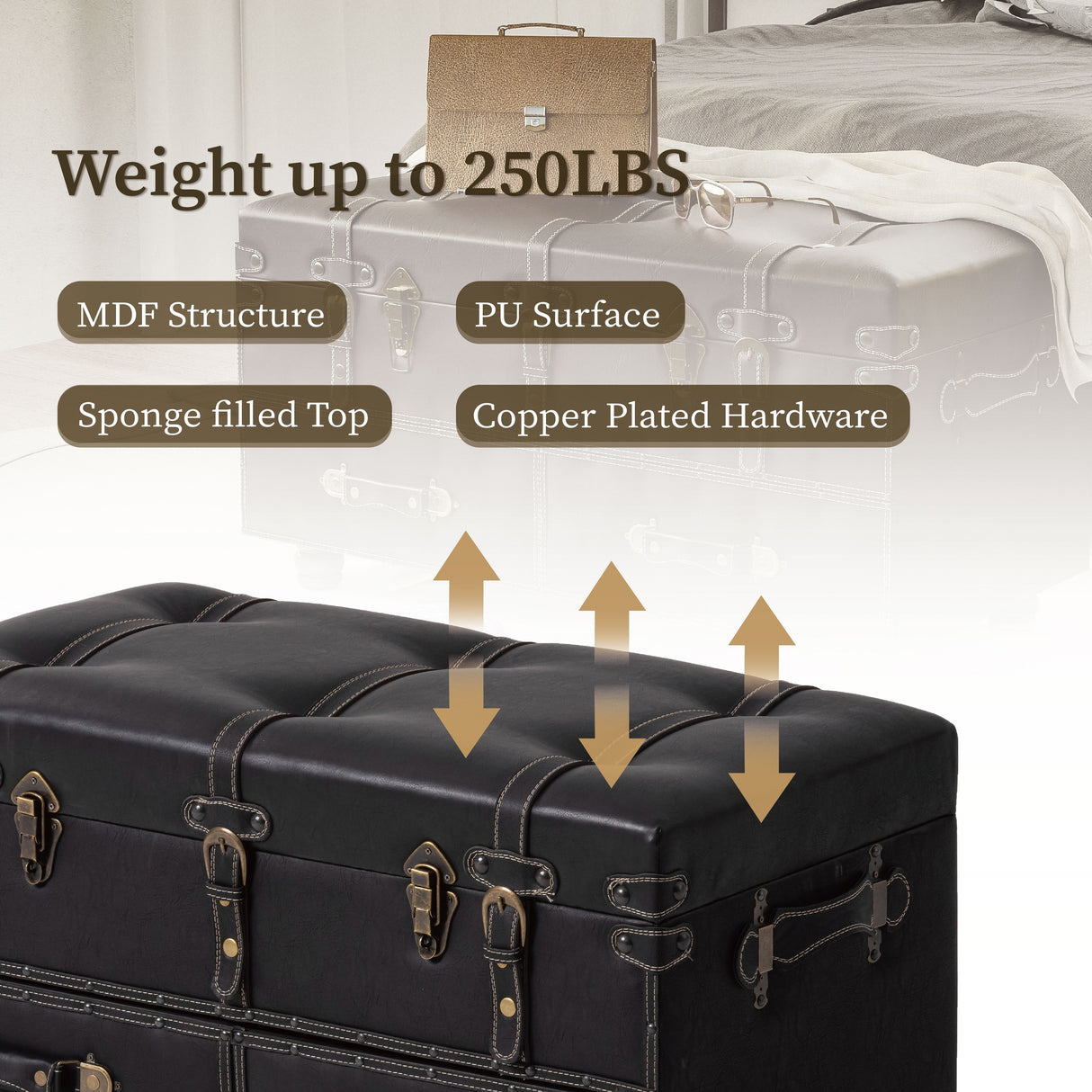 COZAYH Vintage Storage Ottoman Bench, Chest Cabinet with Latch Closure and Buckle for Bedroom Closet Home Organizer Decorative