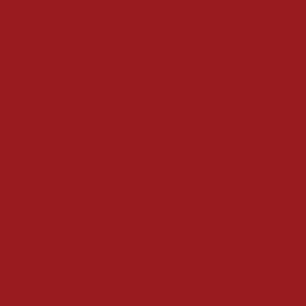 Cake Boss Tools Red 10-inch Stainless Steel Cake Carving Knife