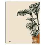 Calas 1 (bronze) Canvas Art Print