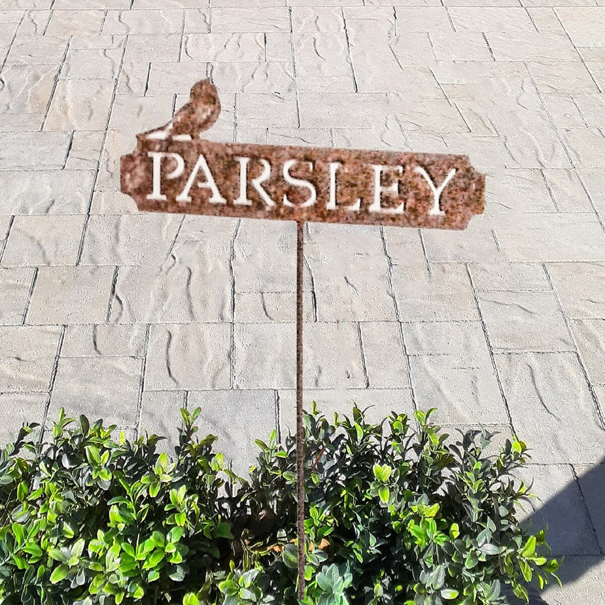 California Home and Garden Metal Rustic Rust Parsley Sign Planter Pick, 18 Inch Tall, Brownish Red