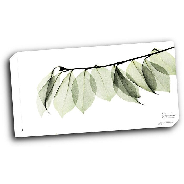 Camelia Leaf In White 24x12 Gallery Wrapped Stretched Canvas