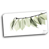 Camelia Leaf In White 24x12 Gallery Wrapped Stretched Canvas