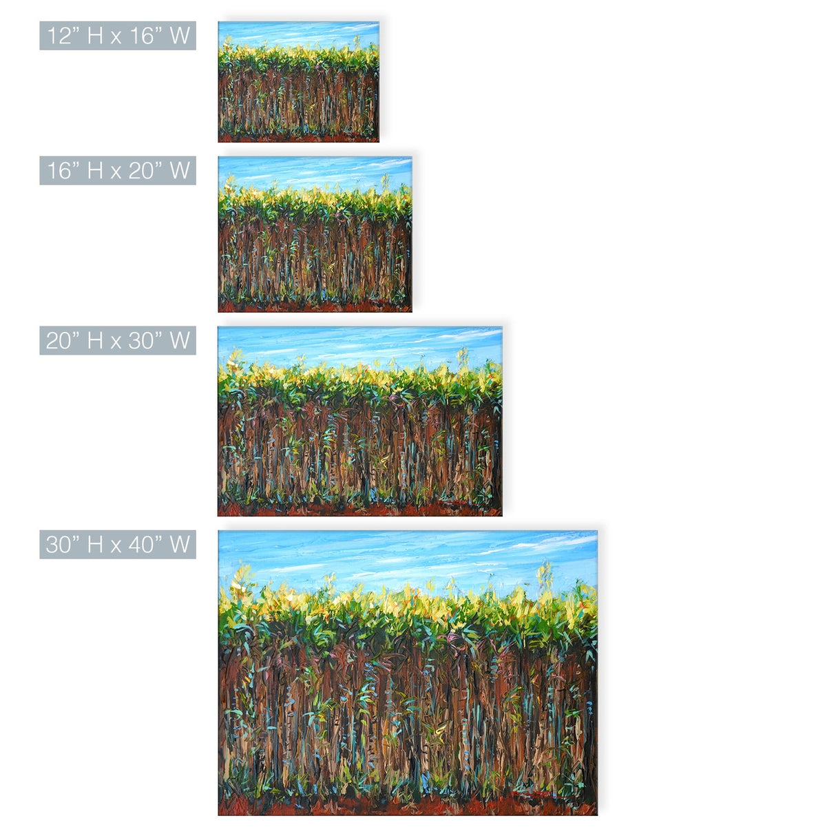 Cane Field' Agriculture Canvas Wall Art by Sarah LaPierre