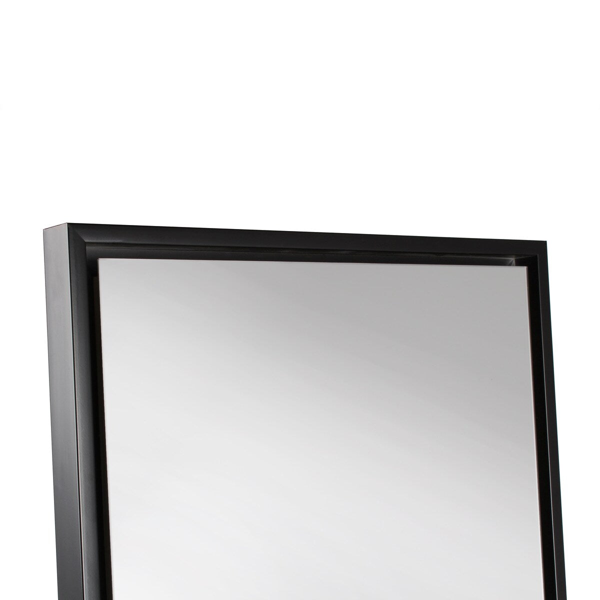 Carbon Loft Beckman Wood Framed Free-standing Mirror - 18x58