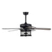 Carmella 25 Inch Industrial Style Lighted Ceiling Fan Cage with Remote