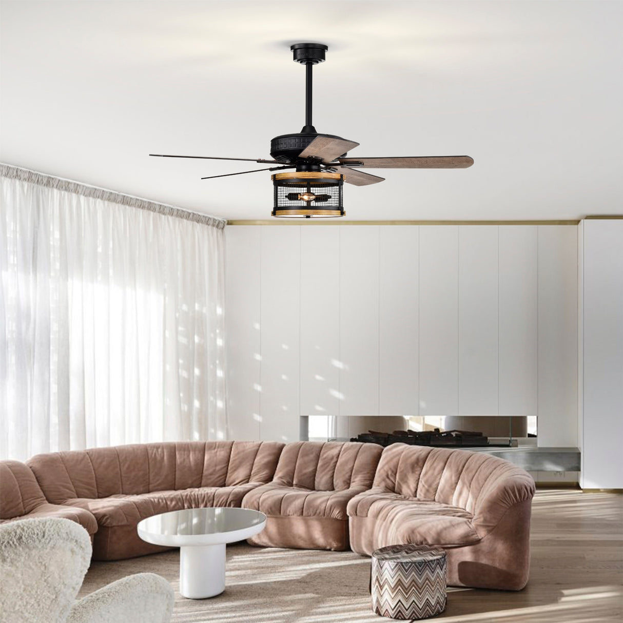 Carmella 25 Inch Industrial Style Lighted Ceiling Fan Cage with Remote