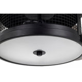 Carmella 25 Inch Industrial Style Lighted Ceiling Fan Cage with Remote
