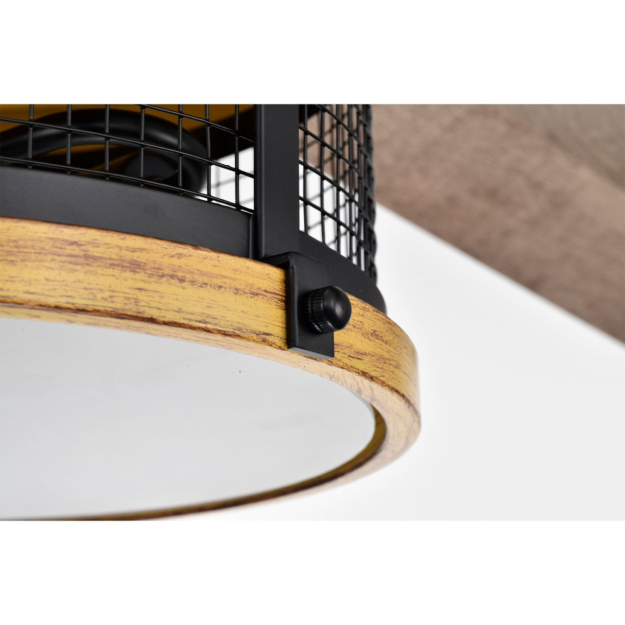 Carmella 25 Inch Industrial Style Lighted Ceiling Fan Cage with Remote