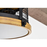 Carmella 25 Inch Industrial Style Lighted Ceiling Fan Cage with Remote