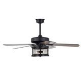 Carmella 25 Inch Industrial Style Lighted Ceiling Fan Cage with Remote