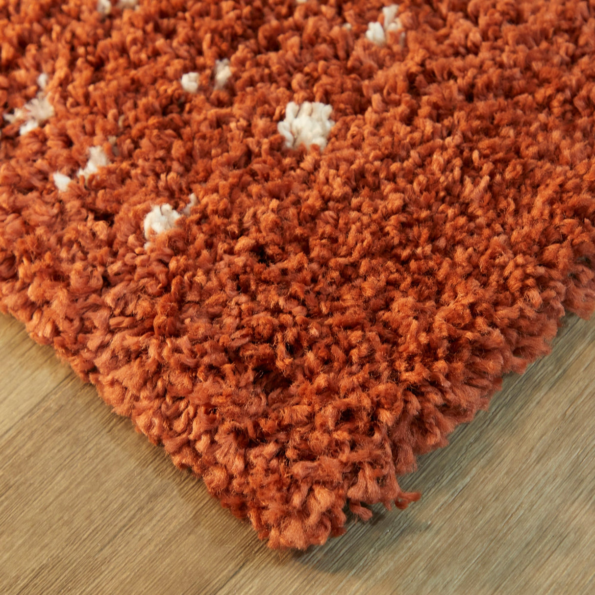 Carson Carrington Taxinge Shag Area Rug