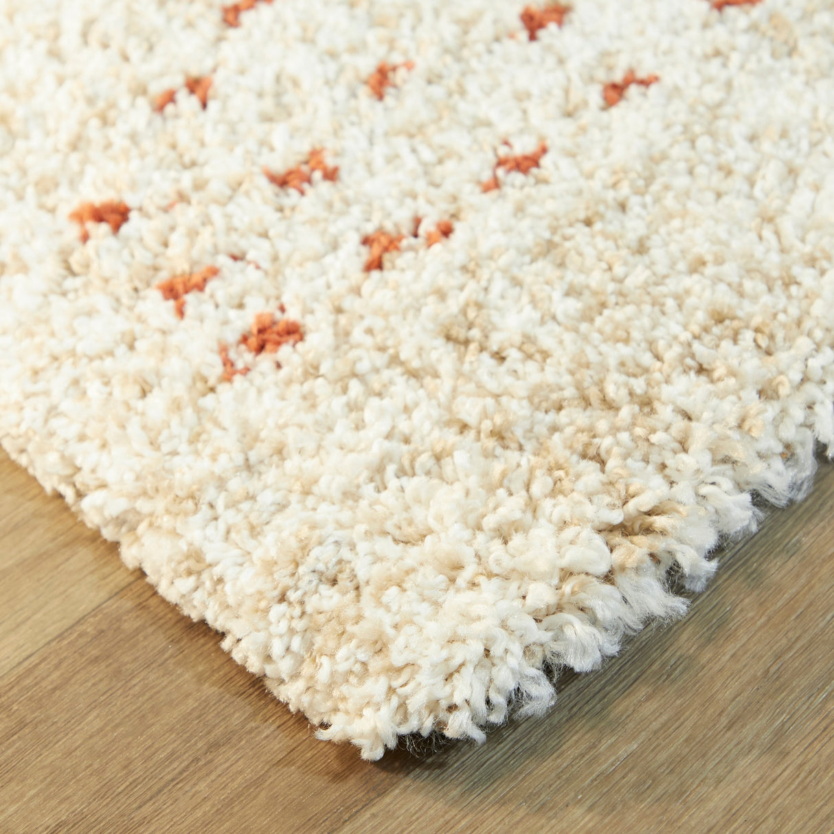 Carson Carrington Taxinge Shag Area Rug