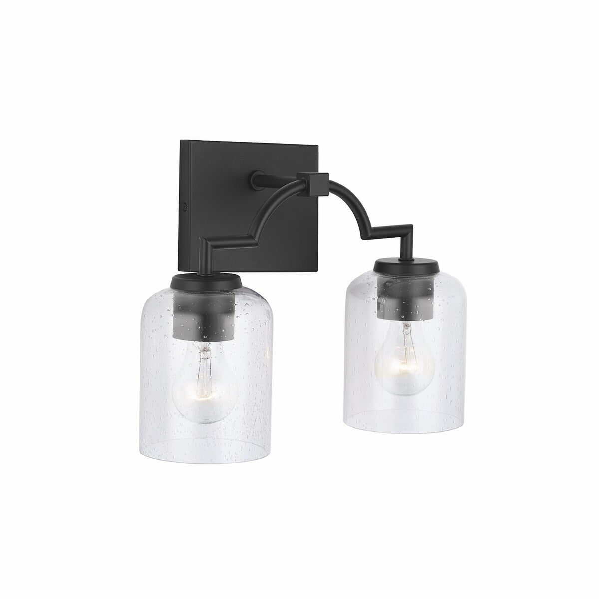 Carter 2-light Bath/ Vanity Fixture w/ Clear Seeded Glass