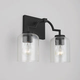 Carter 2-light Bath/ Vanity Fixture w/ Clear Seeded Glass