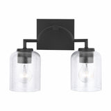 Carter 2-light Bath/ Vanity Fixture w/ Clear Seeded Glass