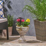 Cassia Roman Botanical Lightweight Concrete Chalice Garden Urn Planter by Christopher Knight Home