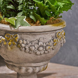 Cassia Roman Botanical Lightweight Concrete Chalice Garden Urn Planter by Christopher Knight Home