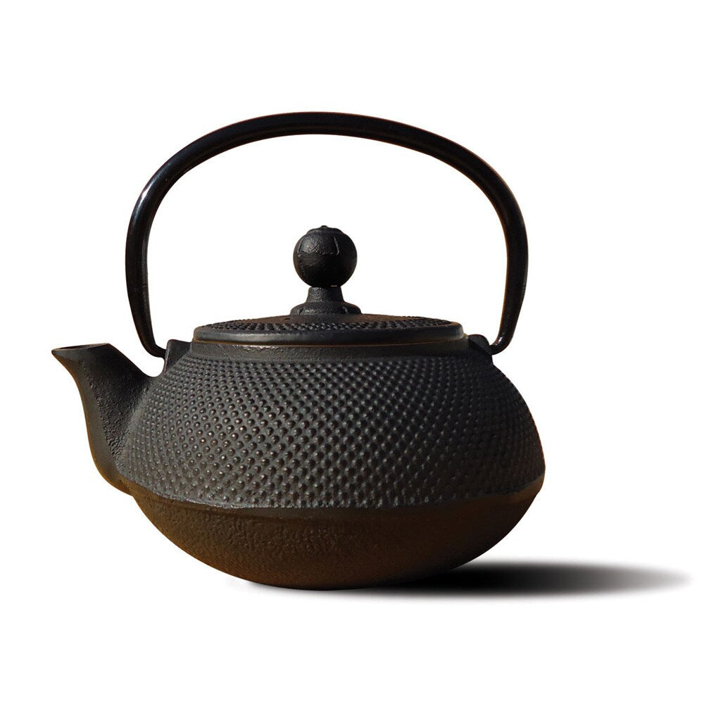 Cast Iron 'Sapporo' 20-ounce Teapot