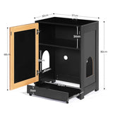 Cat Litter Box Enclosure, Hidden Cat Washroom, Kitty End Table, Litter cabinet with sisal door