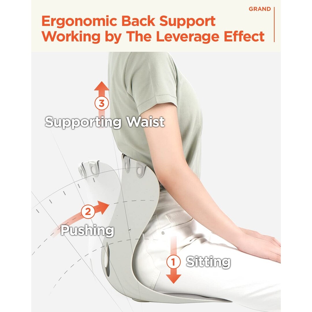 Chair [Adult] Ergonomic Back and Lumbar Support for Good Posture Correction and Back Pain Relief, Perfect