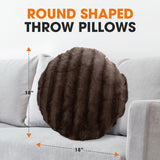 Cheer Collection Set of 2 Decorative Round Throw Pillows