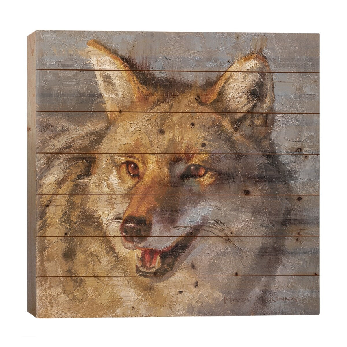 Cheerful Bandit Print On Wood by Mark McKenna - Multi-Color