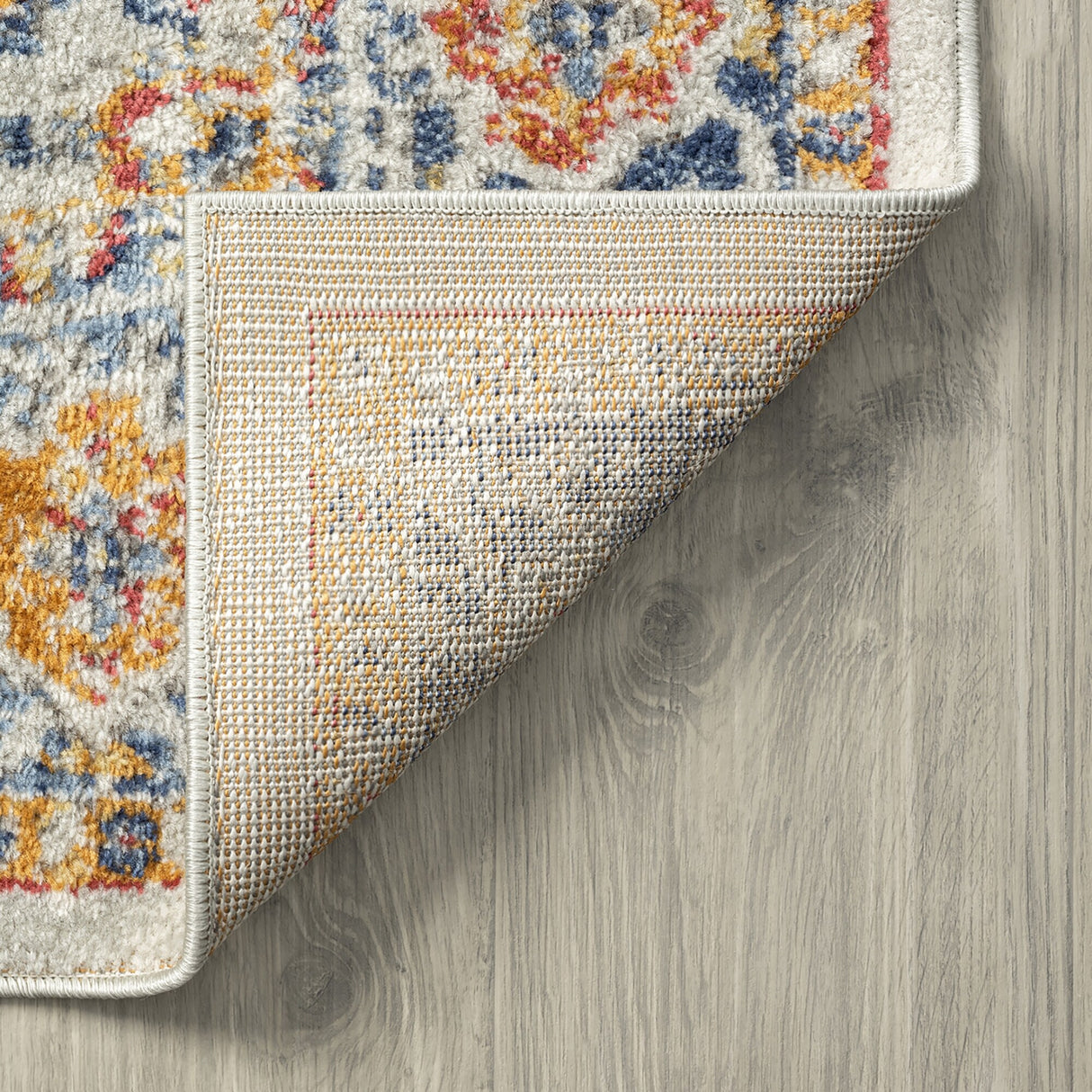 Chesney Bohemian & Eclectic Medallion Indoor Area Rug