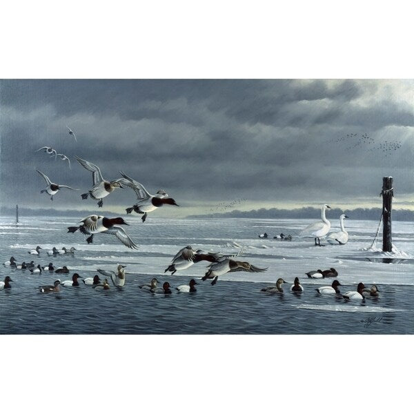 Choptank Gathering-WILGOE85713 Framed Print 24"x39" by Wilhelm Goebel