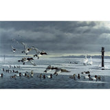 Choptank Gathering-WILGOE85713 Framed Print 24"x39" by Wilhelm Goebel