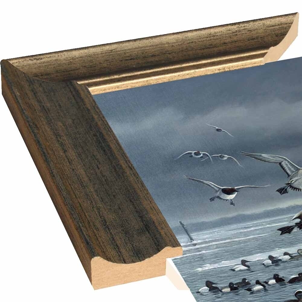 Choptank Gathering-WILGOE85713 Framed Print 24"x39" by Wilhelm Goebel