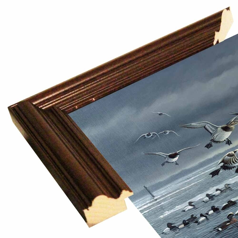Choptank Gathering-WILGOE85713 Framed Print 24"x39" by Wilhelm Goebel