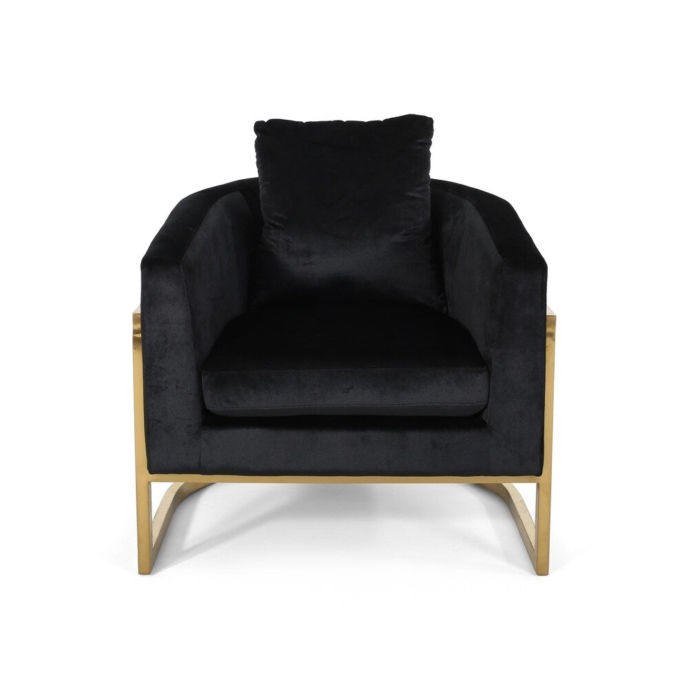 Briarcliff Glam Velvet and Goldtone Armchair by Christopher Knight Home