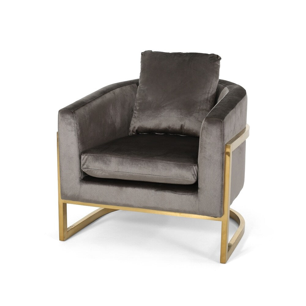 Briarcliff Glam Velvet and Goldtone Armchair by Christopher Knight Home
