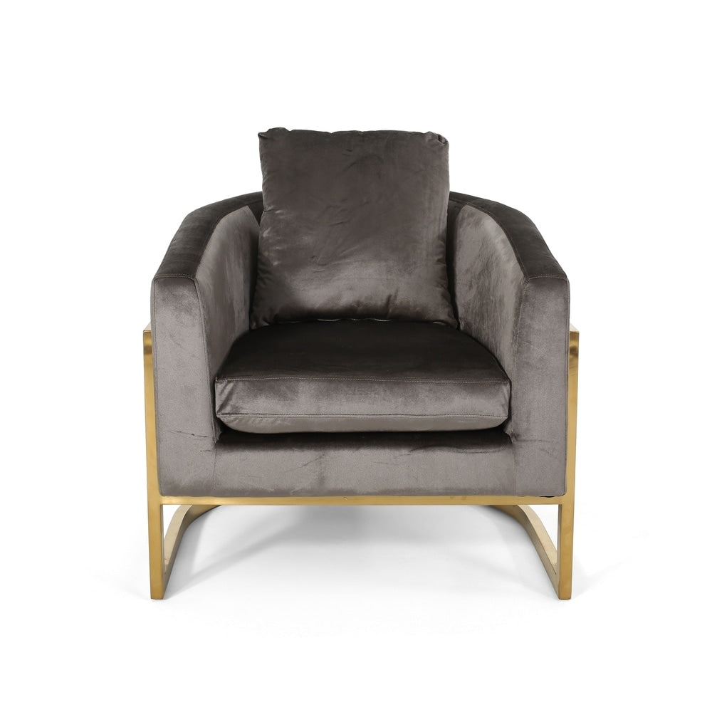 Briarcliff Glam Velvet and Goldtone Armchair by Christopher Knight Home