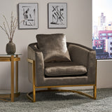 Briarcliff Glam Velvet and Goldtone Armchair by Christopher Knight Home