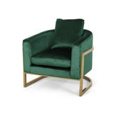 Briarcliff Glam Velvet and Goldtone Armchair by Christopher Knight Home