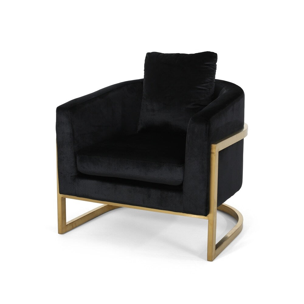 Briarcliff Glam Velvet and Goldtone Armchair by Christopher Knight Home