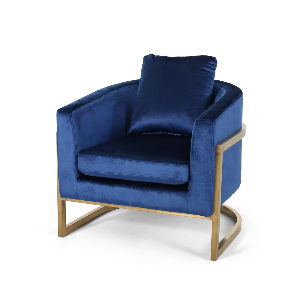 Briarcliff Glam Velvet and Goldtone Armchair by Christopher Knight Home
