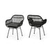 Christopher Knight Home Orlando Woven Faux Rattan Chairs (Set of 2)