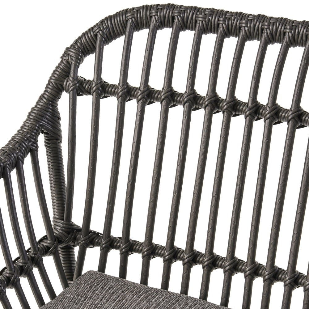 Christopher Knight Home Orlando Woven Faux Rattan Chairs (Set of 2)