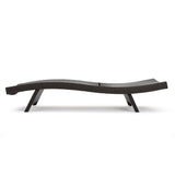 Christopher Knight Home Outdoor Brown Wicker Cushioned Adjustable Chaise Lounge (Set of 2)