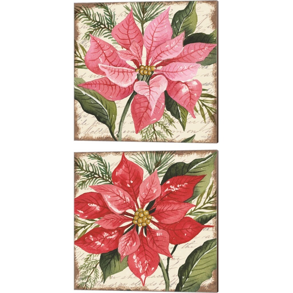 Cindy Jacobs 'Pink & Red Poinsettia Botanical' Canvas Art (Set of 2)