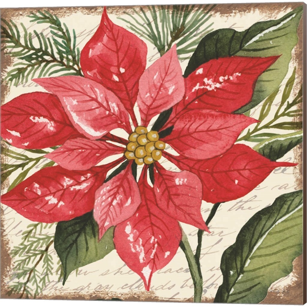 Cindy Jacobs 'Pink & Red Poinsettia Botanical' Canvas Art (Set of 2)