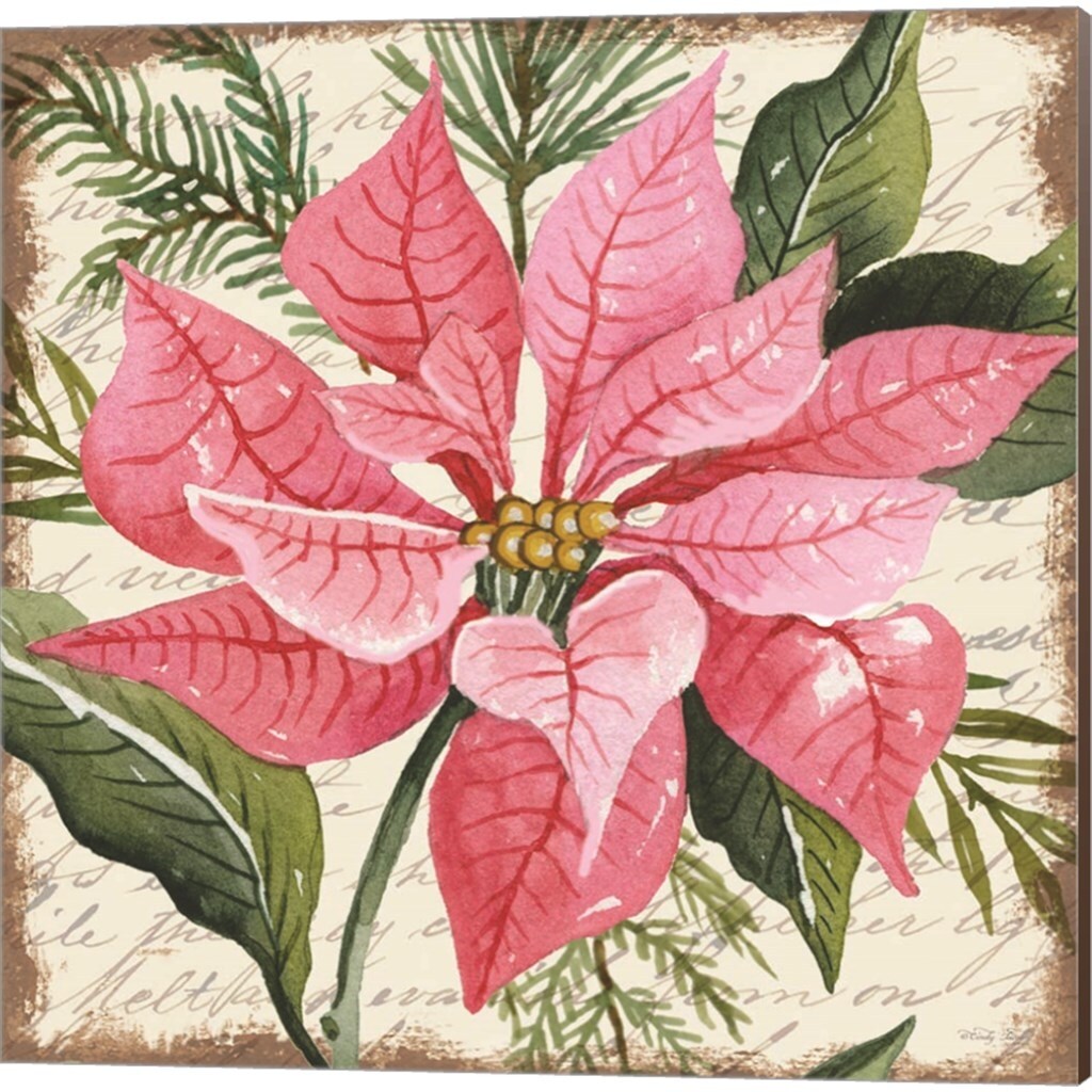 Cindy Jacobs 'Pink & Red Poinsettia Botanical' Canvas Art (Set of 2)