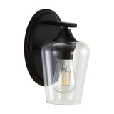 Clara Iron/Seeded Glass Cottage Rustic LED Vanity Light, by JONATHAN Y
