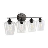 Clara Iron/Seeded Glass Cottage Rustic LED Vanity Light, by JONATHAN Y