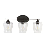Clara Iron/Seeded Glass Cottage Rustic LED Vanity Light, by JONATHAN Y