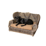 Classic 27.5" x 18" Mediterranean Handwoven Rattan Dog Daybed with Machine-Washable Cushion, Kubu Gray