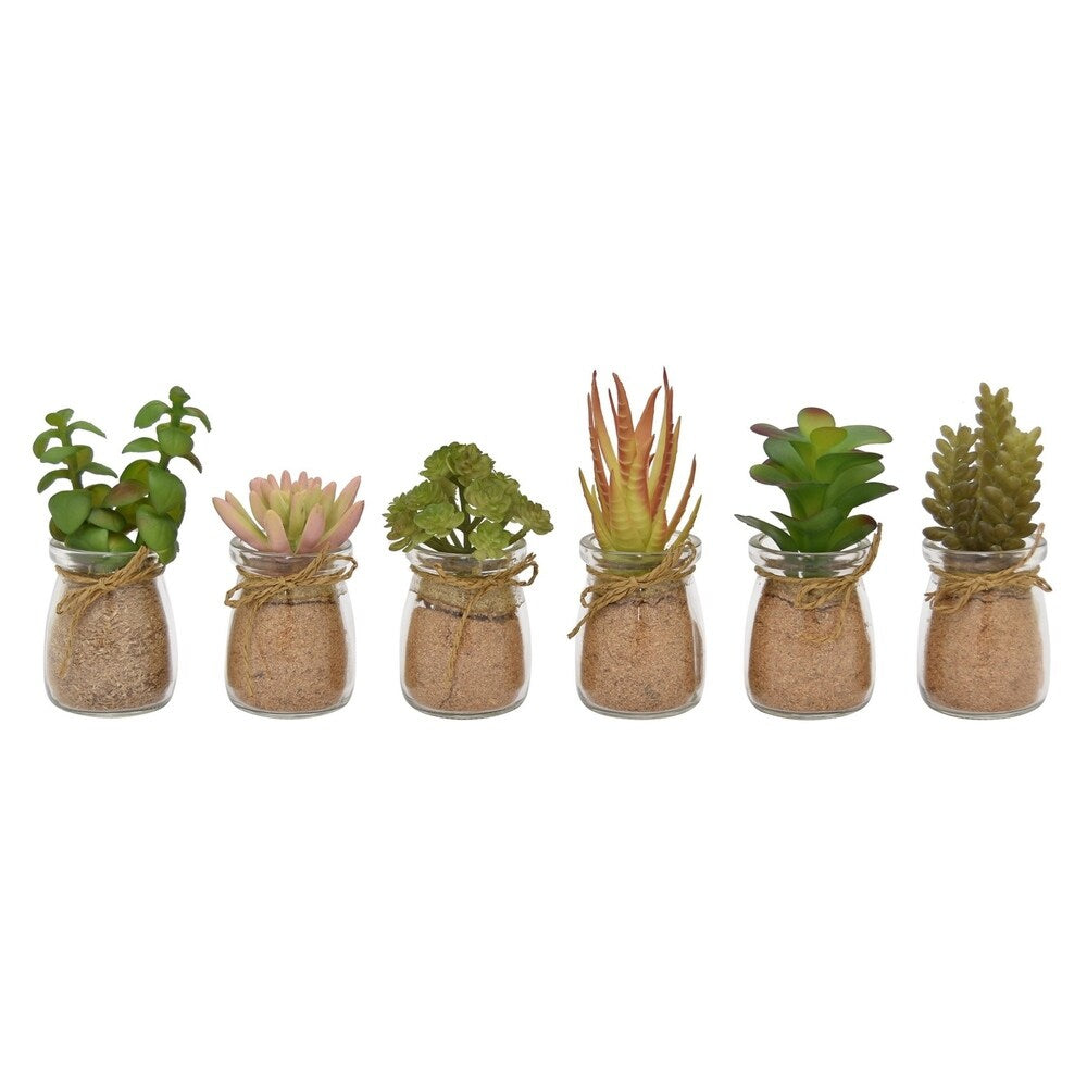 Clear Glass Faux Succulent Jar - 6 Assorted