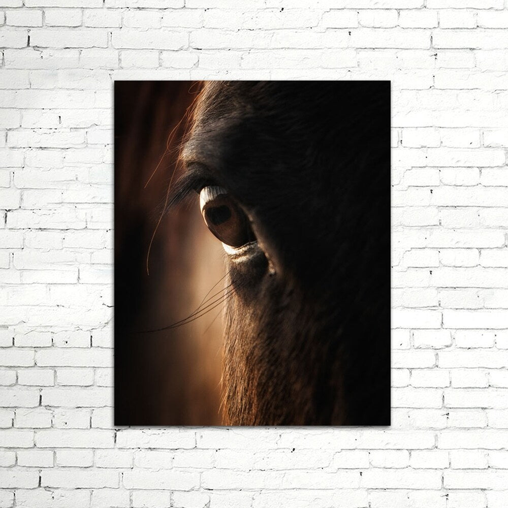 Colossal Images - Close Up Canvas Wall Art - Multi-color